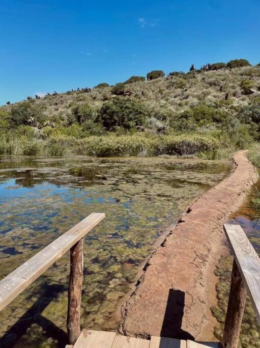 Owl Cottage - Living The Breede Malgas Exterior photo